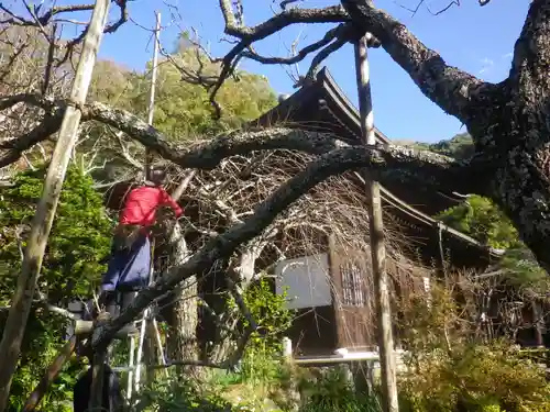 瑞泉寺の庭園