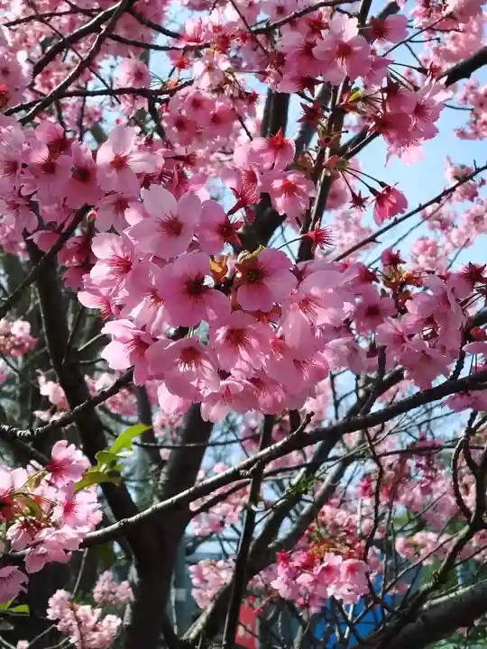 阿邪訶根神社(福島県)