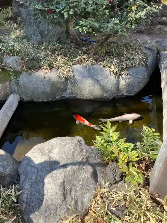 素盞雄神社(東京都)