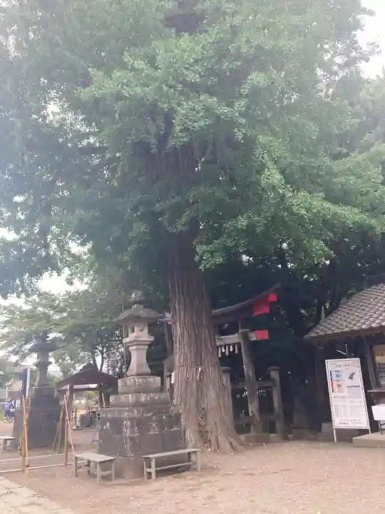 下総国三山 二宮神社(千葉県)