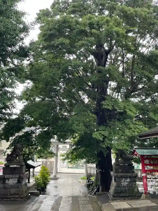 滝野川八幡神社(東京都)