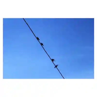 岐阜稲荷山本社(岐阜県)