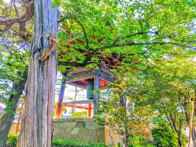 専超寺のその他建物