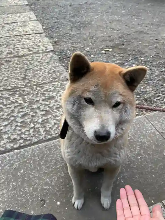笠䅣稲荷神社(神奈川県)