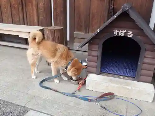 感通寺(東京都)
