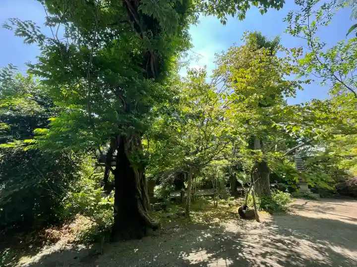 龍峰寺の{uncategorized: "未分類", other: "その他", undefined: "問題あり", building: "その他建物", grave: "お墓", sacred_gate: "鳥居", guardian: "狛犬", statue: "像", buddha: "仏像", history: "歴史", nature: "自然", garden: "庭園", animal: "動物", pagoda: "塔", temizu: "手水舎", mountain_gate: "山門・神門", sanctuary: "本殿・本堂", subordinate: "末社・摂社", art: "芸術", scenery: "景色", jizo: "地蔵", ema: "絵馬", goshuin: "御朱印", omikuji: "おみくじ", items: "授与品その他", amulet: "お守り", goshuincho: "御朱印帳", eats: "食事", festival: "お祭り", votive_dance: "神楽", shichigosan: "七五三参", wedding: "結婚式", experience: "体験その他", initially: "初詣", around: "周辺", anti_infection: "感染症対策"}