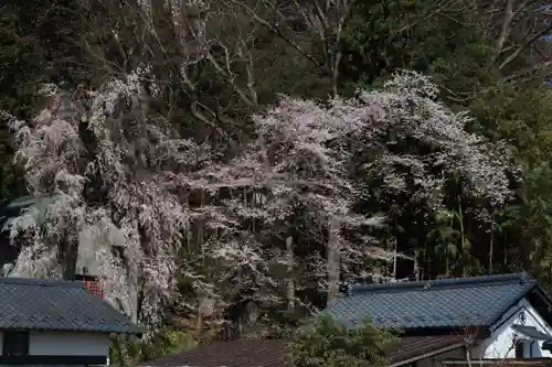 田村神社の自然