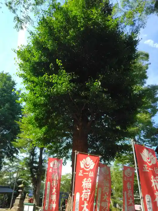 衣笠神社(神奈川県)