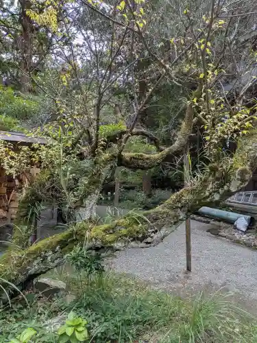 報徳二宮神社(神奈川県)