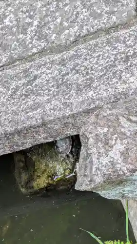 宝蔵寺(京都府)