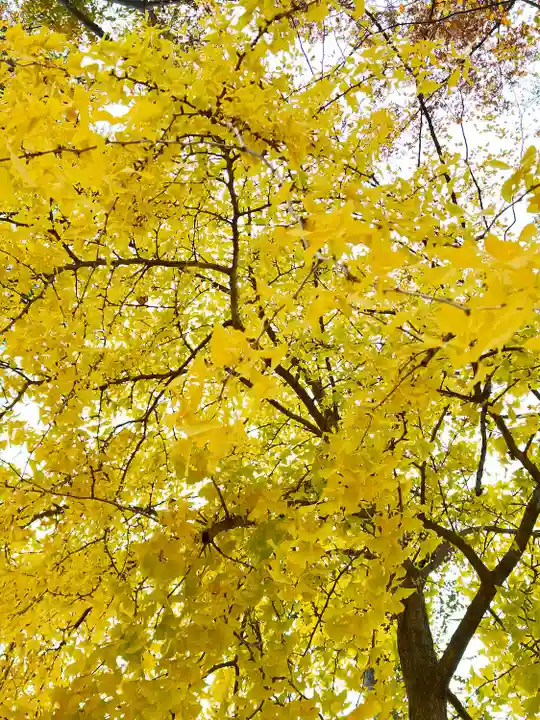 小野神社(東京都)