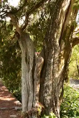 大水上神社(香川県)