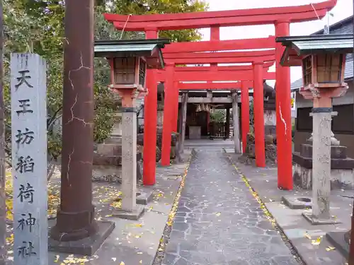 溝旗神社（肇國神社）の鳥居