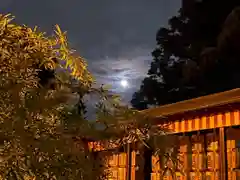 東海市熊野神社のお祭り