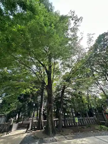 布多天神社(東京都)