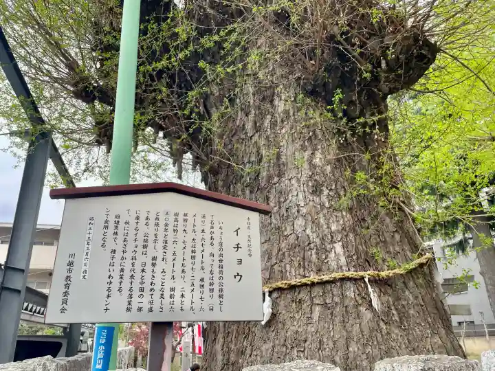 出世稲荷神社の{uncategorized: "未分類", other: "その他", undefined: "問題あり", building: "その他建物", grave: "お墓", sacred_gate: "鳥居", guardian: "狛犬", statue: "像", buddha: "仏像", history: "歴史", nature: "自然", garden: "庭園", animal: "動物", pagoda: "塔", temizu: "手水舎", mountain_gate: "山門・神門", sanctuary: "本殿・本堂", subordinate: "末社・摂社", art: "芸術", scenery: "景色", jizo: "地蔵", ema: "絵馬", goshuin: "御朱印", omikuji: "おみくじ", items: "授与品その他", amulet: "お守り", goshuincho: "御朱印帳", eats: "食事", festival: "お祭り", votive_dance: "神楽", shichigosan: "七五三参", wedding: "結婚式", experience: "体験その他", initially: "初詣", around: "周辺", anti_infection: "感染症対策"}