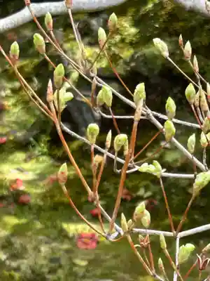 霊鑑寺門跡(京都府)