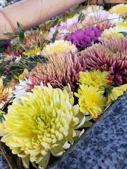 高円寺氷川神社の手水舎