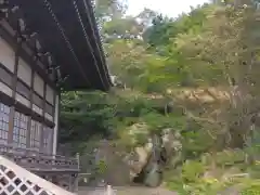 妙蓮寺(神奈川県)