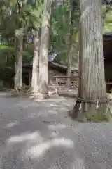 日枝神社(岐阜県)