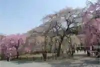 清雲寺(埼玉県)