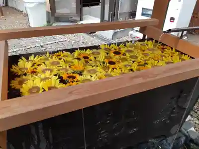 上目黒氷川神社(東京都)