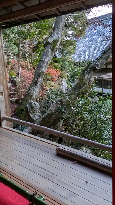 柳谷観音 楊谷寺(京都府)