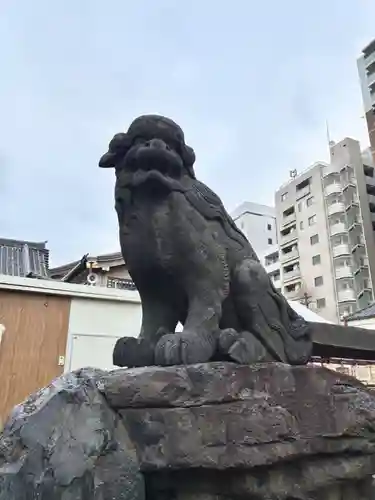浅草神社の狛犬