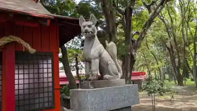 光金稲荷神社の狛犬