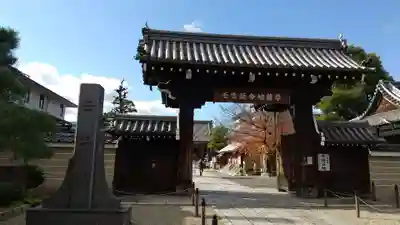 壬生寺の山門・神門
