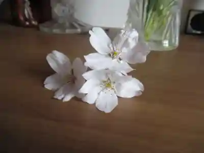 真光寺(千葉県)