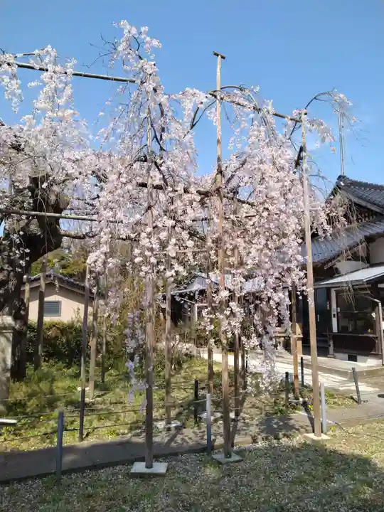 千手院(島根県)