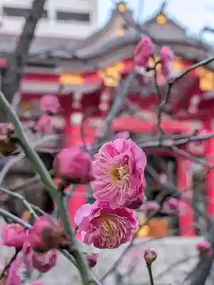 成子天神社(東京都)