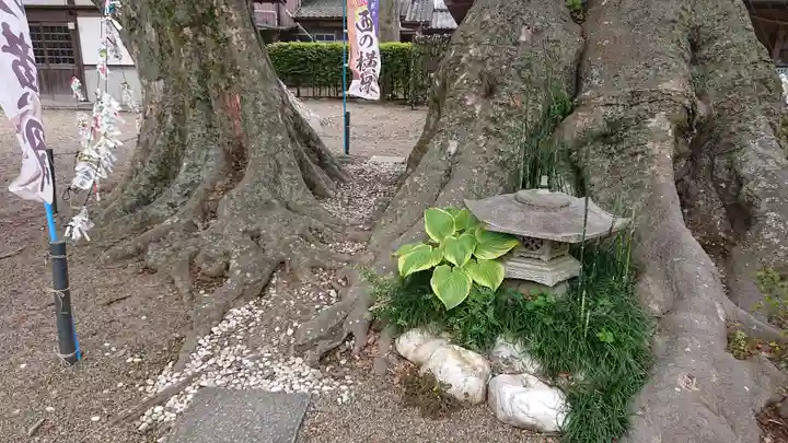 八枝神社(埼玉県)