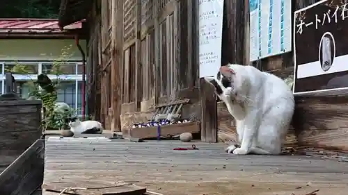 修那羅山安宮神社の動物