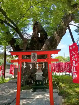 秩父今宮神社の{uncategorized: "未分類", other: "その他", undefined: "問題あり", building: "その他建物", grave: "お墓", sacred_gate: "鳥居", guardian: "狛犬", statue: "像", buddha: "仏像", history: "歴史", nature: "自然", garden: "庭園", animal: "動物", pagoda: "塔", temizu: "手水舎", mountain_gate: "山門・神門", sanctuary: "本殿・本堂", subordinate: "末社・摂社", art: "芸術", scenery: "景色", jizo: "地蔵", ema: "絵馬", goshuin: "御朱印", omikuji: "おみくじ", items: "授与品その他", amulet: "お守り", goshuincho: "御朱印帳", eats: "食事", festival: "お祭り", votive_dance: "神楽", shichigosan: "七五三参", wedding: "結婚式", experience: "体験その他", initially: "初詣", around: "周辺", anti_infection: "感染症対策"}