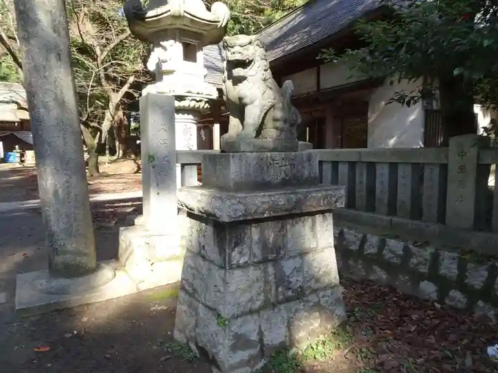 中村八幡宮の狛犬