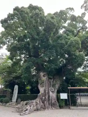 粉河寺(和歌山県)