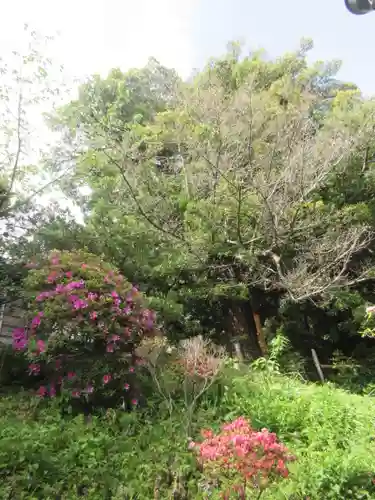 浄光明寺(神奈川県)