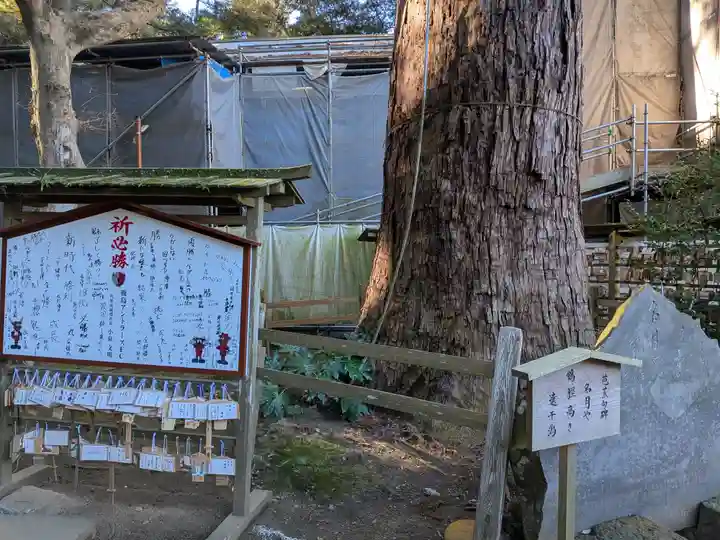 鹿島神宮(茨城県)