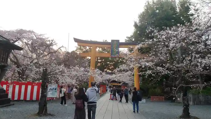 平野神社(京都府)