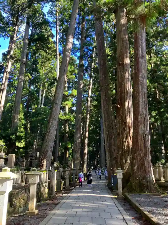 高野山金剛峯寺奥の院(和歌山県)
