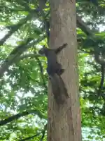 千歳神社(北海道)