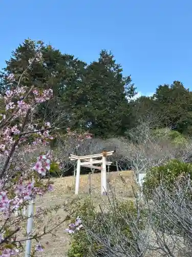 谷崎天神社の{uncategorized: "未分類", other: "その他", undefined: "問題あり", building: "その他建物", grave: "お墓", sacred_gate: "鳥居", guardian: "狛犬", statue: "像", buddha: "仏像", history: "歴史", nature: "自然", garden: "庭園", animal: "動物", pagoda: "塔", temizu: "手水舎", mountain_gate: "山門・神門", sanctuary: "本殿・本堂", subordinate: "末社・摂社", art: "芸術", scenery: "景色", jizo: "地蔵", ema: "絵馬", goshuin: "御朱印", omikuji: "おみくじ", items: "授与品その他", amulet: "お守り", goshuincho: "御朱印帳", eats: "食事", festival: "お祭り", votive_dance: "神楽", shichigosan: "七五三参", wedding: "結婚式", experience: "体験その他", initially: "初詣", around: "周辺", anti_infection: "感染症対策"}