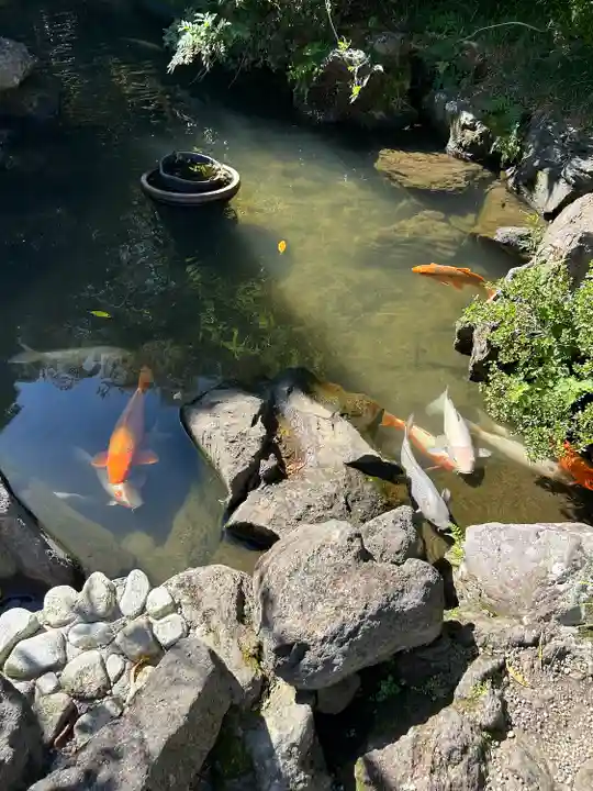 金蛇水神社(宮城県)