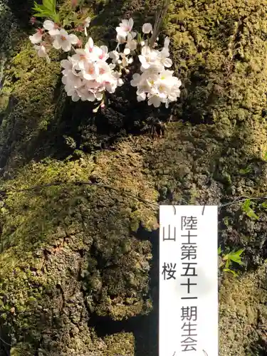 靖國神社(東京都)