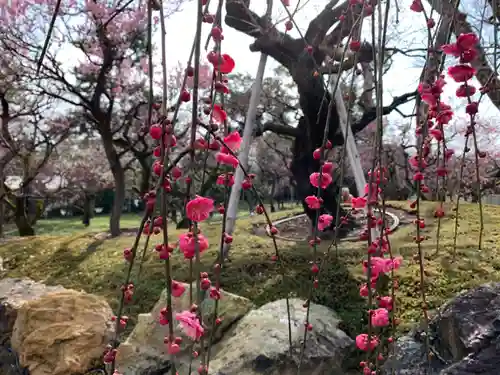 北野天満宮の庭園