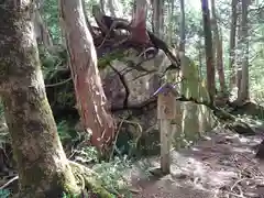 天の岩戸(飛騨一宮水無神社奥宮)の自然