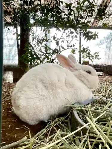 太子堂八幡神社(東京都)