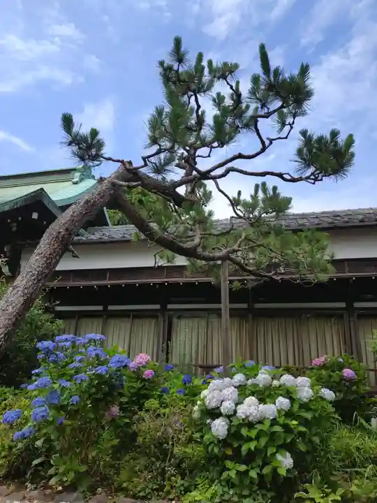 本郷氷川神社(東京都)